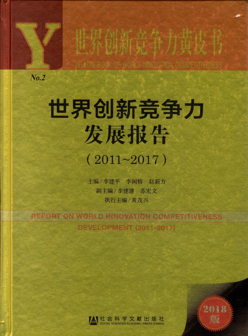 大骚逼网站世界创新竞争力发展报告（2011-2017）