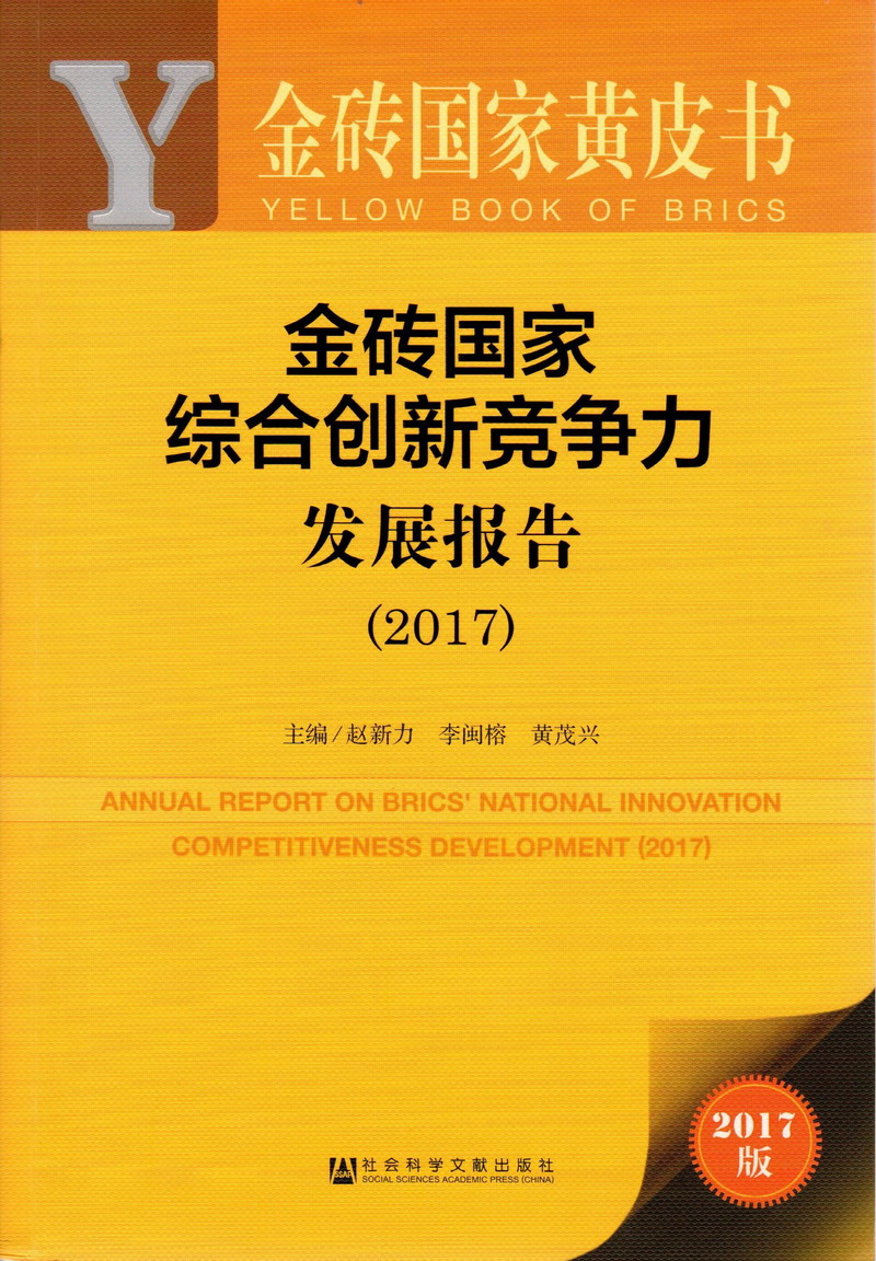 骚逼喷水被艹视频金砖国家综合创新竞争力发展报告（2017）